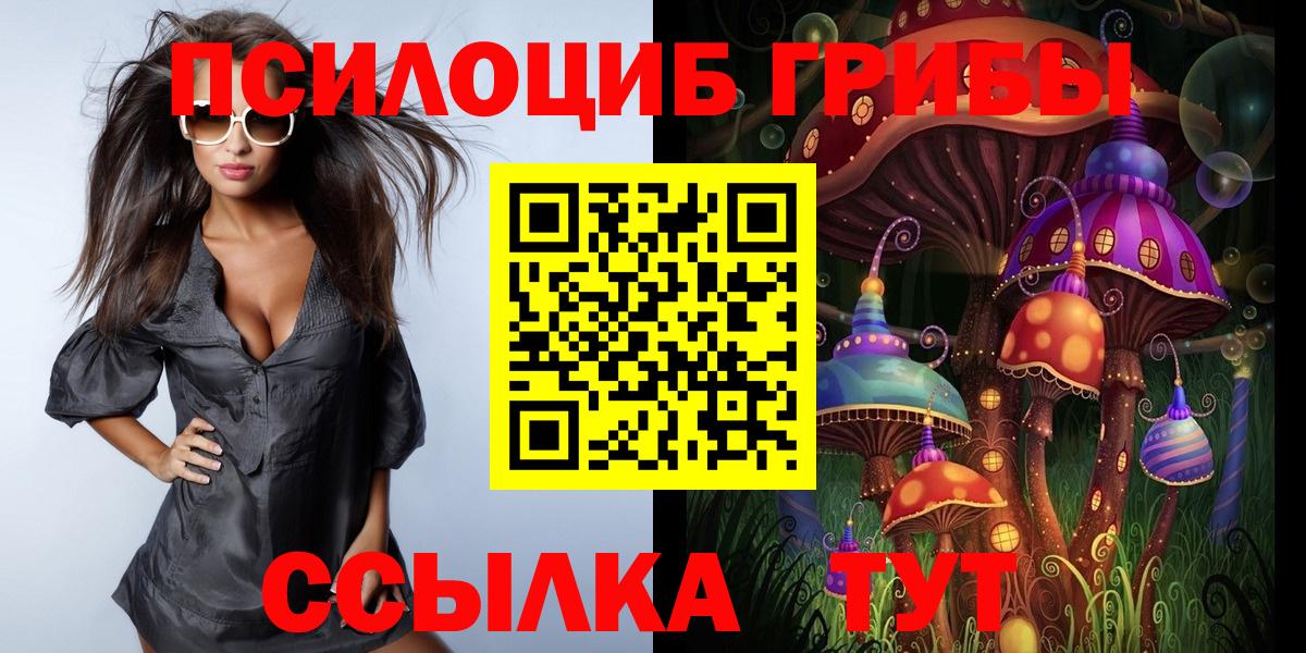 Галлюциногенные грибы GOLDEN TEACHER  Вход с VPN  Краснознаменск 